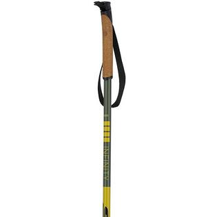 Swix Infinity Touring Alu Ski Pole [2023]