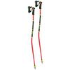 B tons de ski WCR Lite GS 3D  2025 