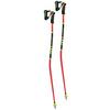 WCR Lite GS 3D Ski Pole  2025 