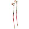 WCR TBS GS 3D Ski Pole  2025 