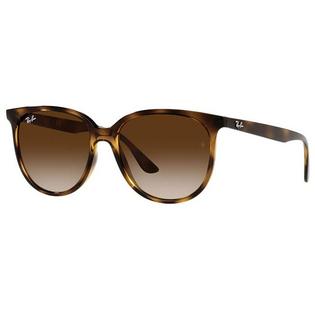Ray-Ban RB4378 Sunglasses