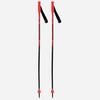 B tons de ski Hero GS-SG Jr pour juniors  2023 