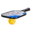 Composite Evoke Pro Pickleball Paddle