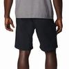 Men s Silver Ridge  Utility Short