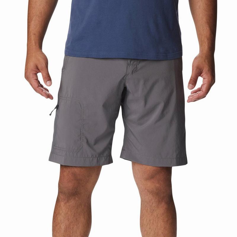 Columbia Short Silver Ridge Utility pour hommes