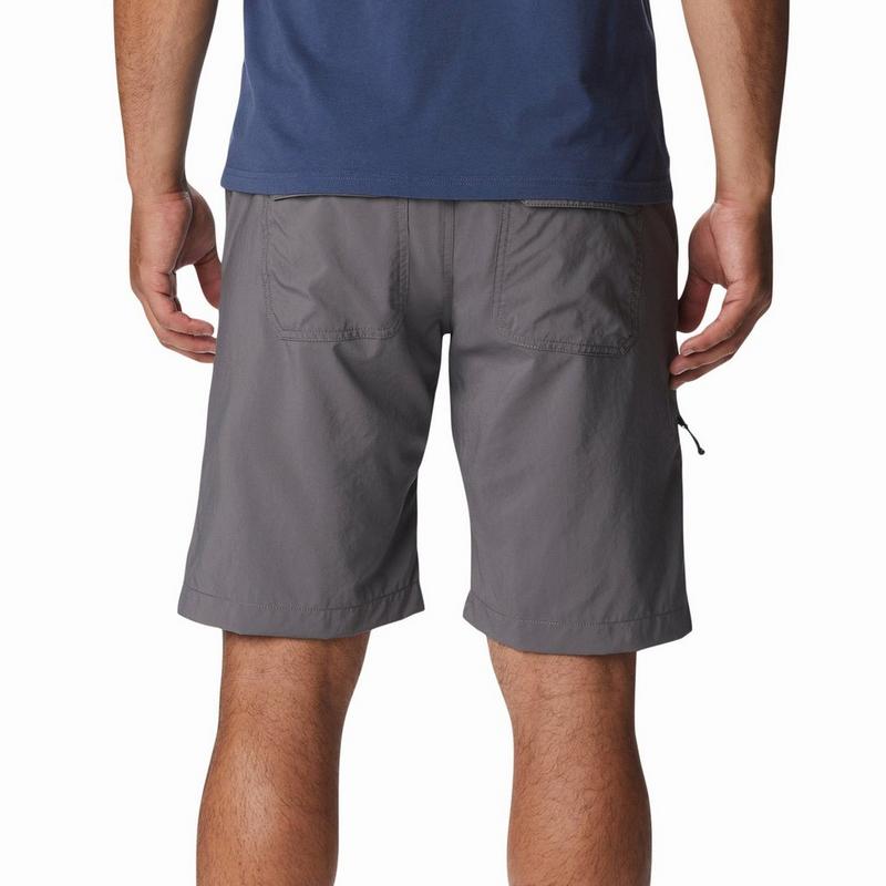 Columbia Short Silver Ridge Utility pour hommes