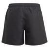 Junior Boys   8-16  Classic Badge of Sport Swim Trunk