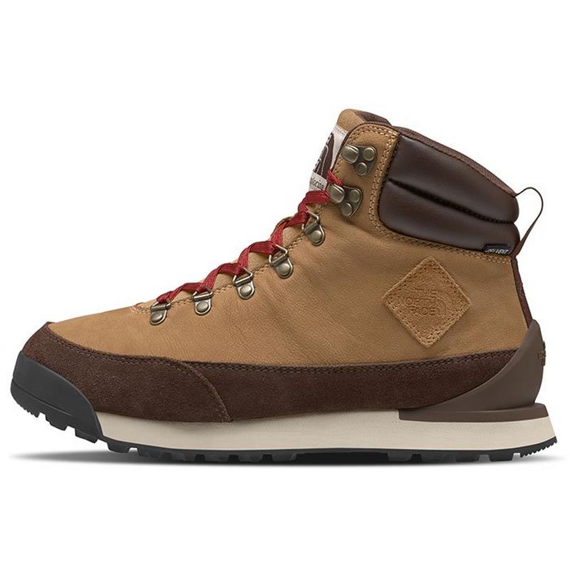 The North Face Bottes imperm&eacute;ables Back-To-Berkeley IV en cuir pour hommes