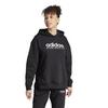 Chandail   capuchon ALL SZN Fleece Graphic pour femmes