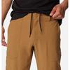 Pantalon utilitaire Landroamer pour hommes