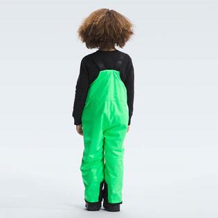 The North Face Kids' [2-7] Freedom Insulated Bib Pant