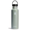 Standard Mouth Insulated Bottle  21 oz 