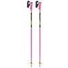 Kids  Racing Ski Pole  2025 