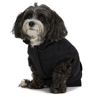 Dash Dog Hoodie (XS/S/M)