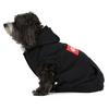 Dash Dog Hoodie  XS S M 