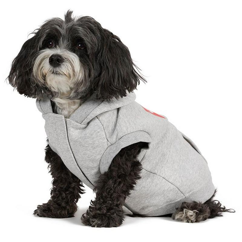 Pajar Chandail &agrave; capuchon Dash pour chiens (TP/P/M)