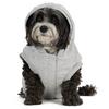 Dash Dog Hoodie  XS S M 