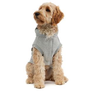 Dash Dog Hoodie (L/XL)