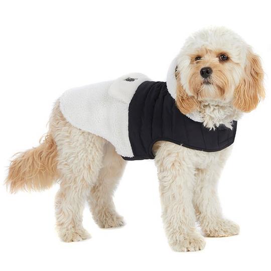Pajar Loki Jacket with Hood for Dogs S Black Unbleached