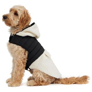 Loki Sherpa Dog Jacket (L/XL)