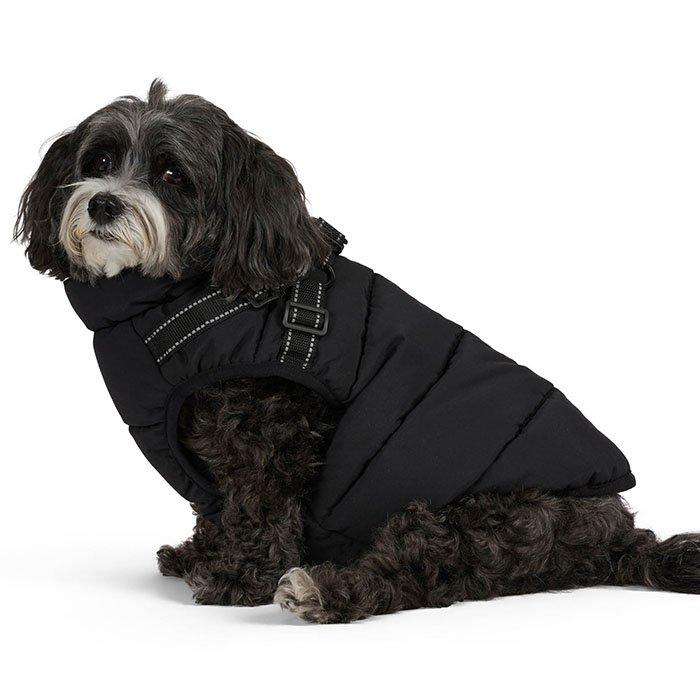 Atlas Dog Jacket (XS/S/M)