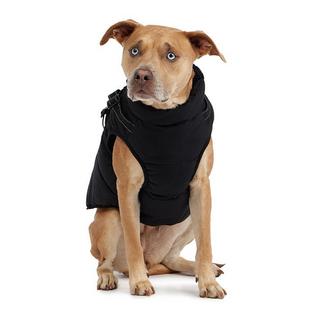 Veste pour chiens Atlas (G/TG)