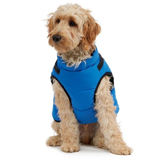 Dog jacket with sleeves best sale