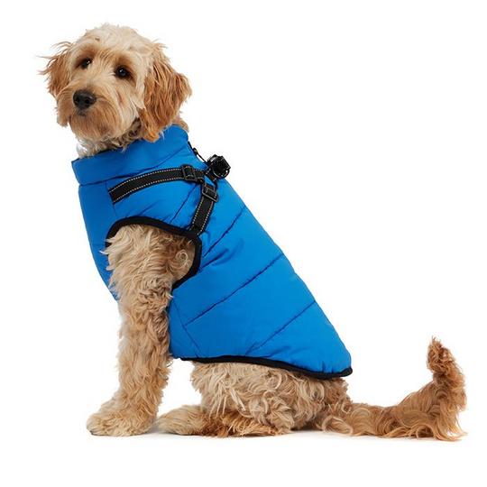 Atlas Puffer Jacket with Built In Harness for Dogs L BLUE by Pajar Canada