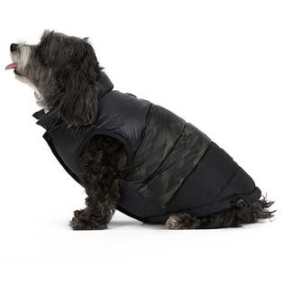 Alexis Dog Jacket (XS/S/M)