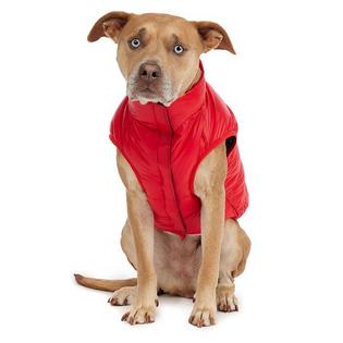 Cora Dog Jacket (L/XL)