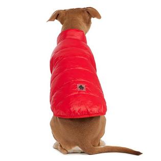 Pajar Veste pour chiens Cora (G/TG)
