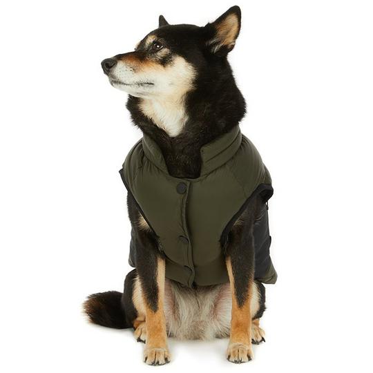 Pajar Veste pour chiens Beau  TP P M 