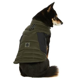 Pajar Veste pour chiens Beau (TP/P/M)
