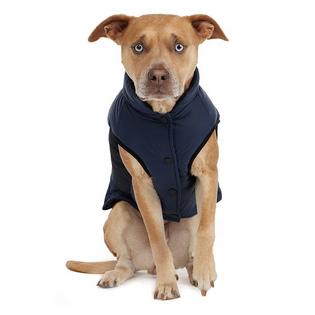 Beau Dog Jacket (L/XL)
