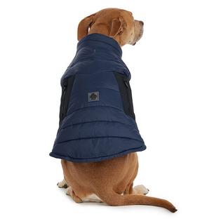 Pajar Beau Dog Jacket (L/XL)