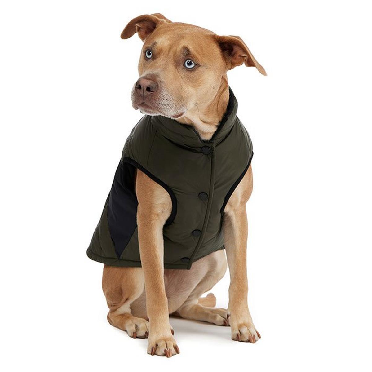Beau Dog Jacket (L/XL)