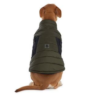 Pajar Veste pour chiens Beau (G/TG)