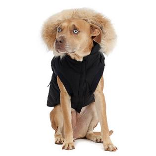 Zeus Dog Jacket (L/XL)