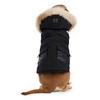 Veste pour chiens zeus  G TG 