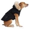 Zeus Dog Jacket  L XL 