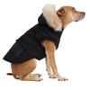 Veste pour chiens zeus  G TG 