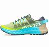 Women s Agility Peak 4 GTX Trail Running Shoe