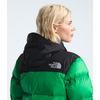 Veste 1996 Retro Nuptse pour femmes