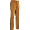 Pantalon Gamma pour hommes