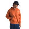 Men s Evolution Vintage Hoodie