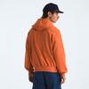 Men s Evolution Vintage Hoodie