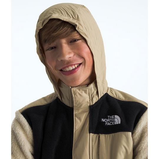 North face mashup jacket on sale