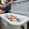 316 Series  62-Quart Wheeled Hard Cooler  58 7L 