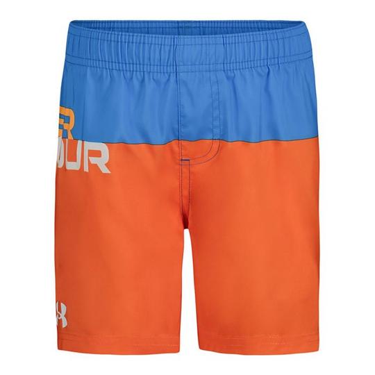 Junior Boys   8-16  Logo Colourblock Volley Swim Trunk