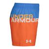 Junior Boys   8-16  Logo Colourblock Volley Swim Trunk